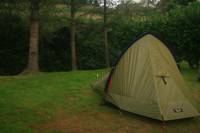 Grass Camping Pitch