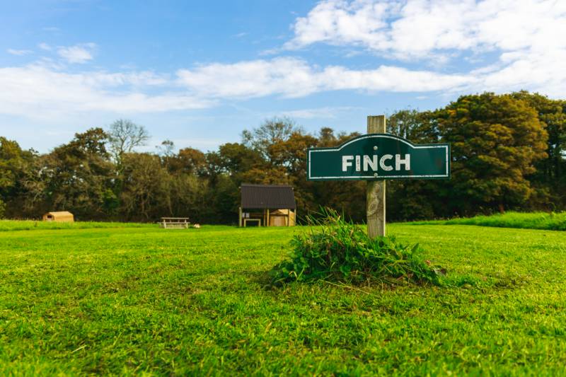 Finch - Ensuite Grass Pitch