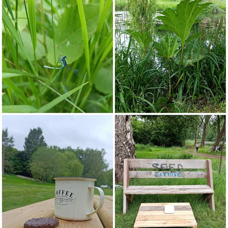 Tilia Bell Tent   (Dog Friendly)