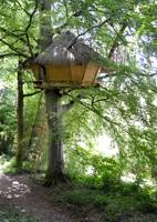 Treehouse glamping in a Normandy woodland