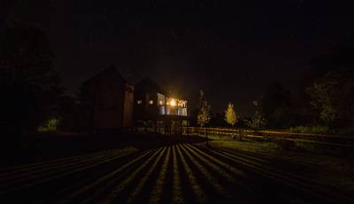Tree House Glamping | Best treehouse holiday locations
