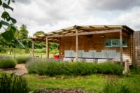 Upper Meadow TENT pitch (vehicle free field)