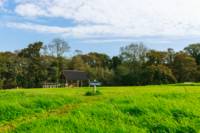 Carousel -Ensuite Grass Pitch