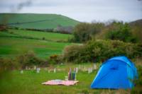 Camping Pitch