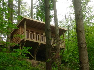 Treetop Cabin