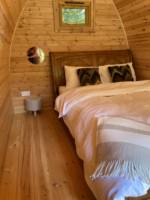 The Burrow