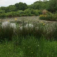 Meadow Belltent