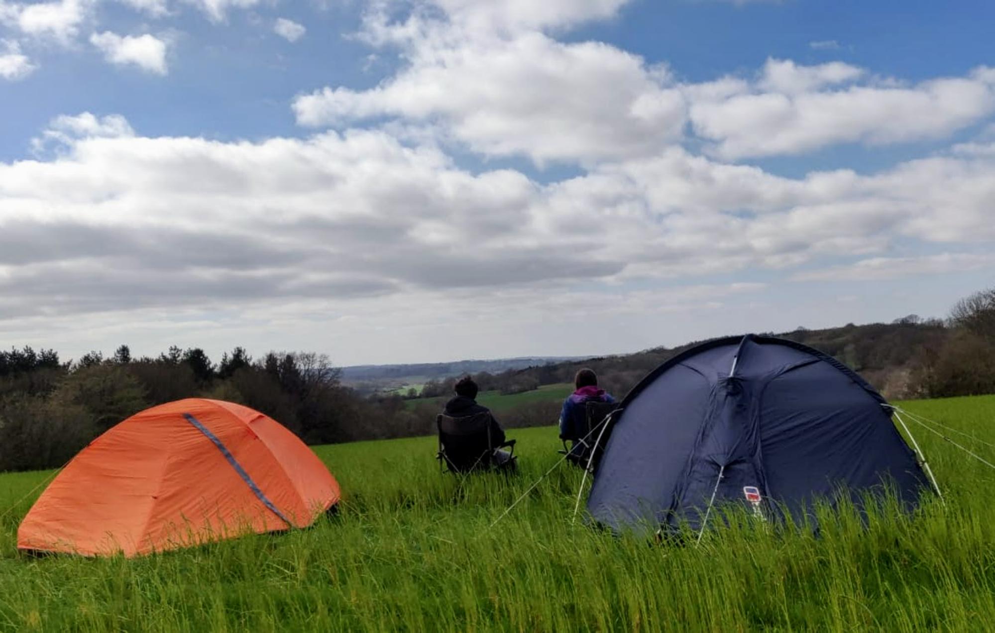 Grass Pitch 1 At Glassenbury Camping Cool Camping 23717