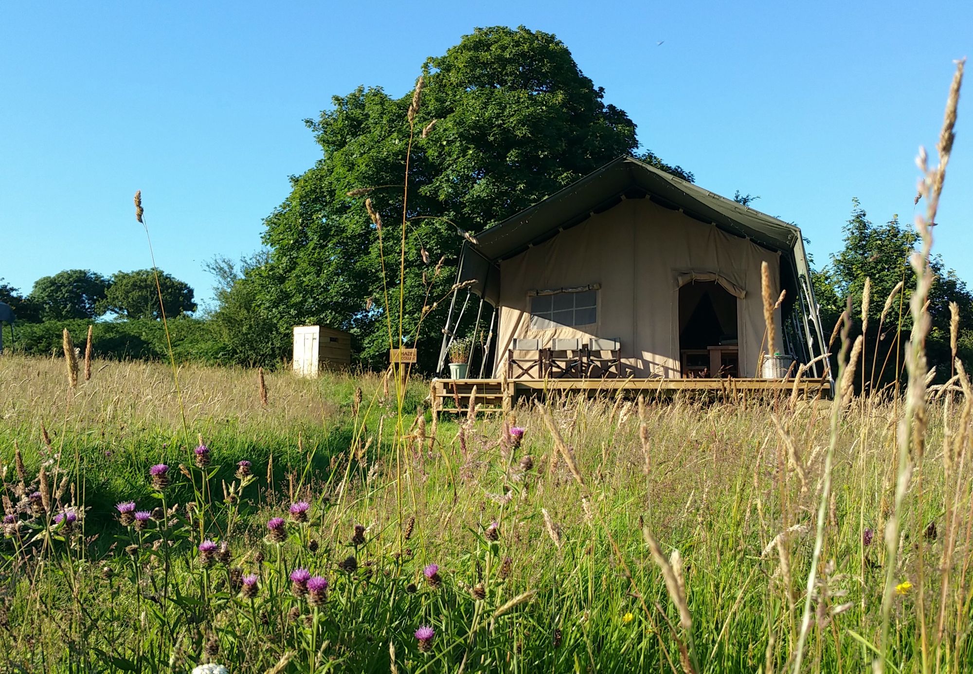 Campsites in the Preseli Hills – Camping in Pembrokeshire's Preseli Hills