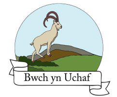 Bwch yn Uchaf B&B