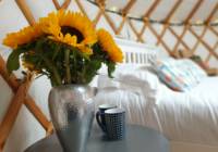 The Curlew yurt