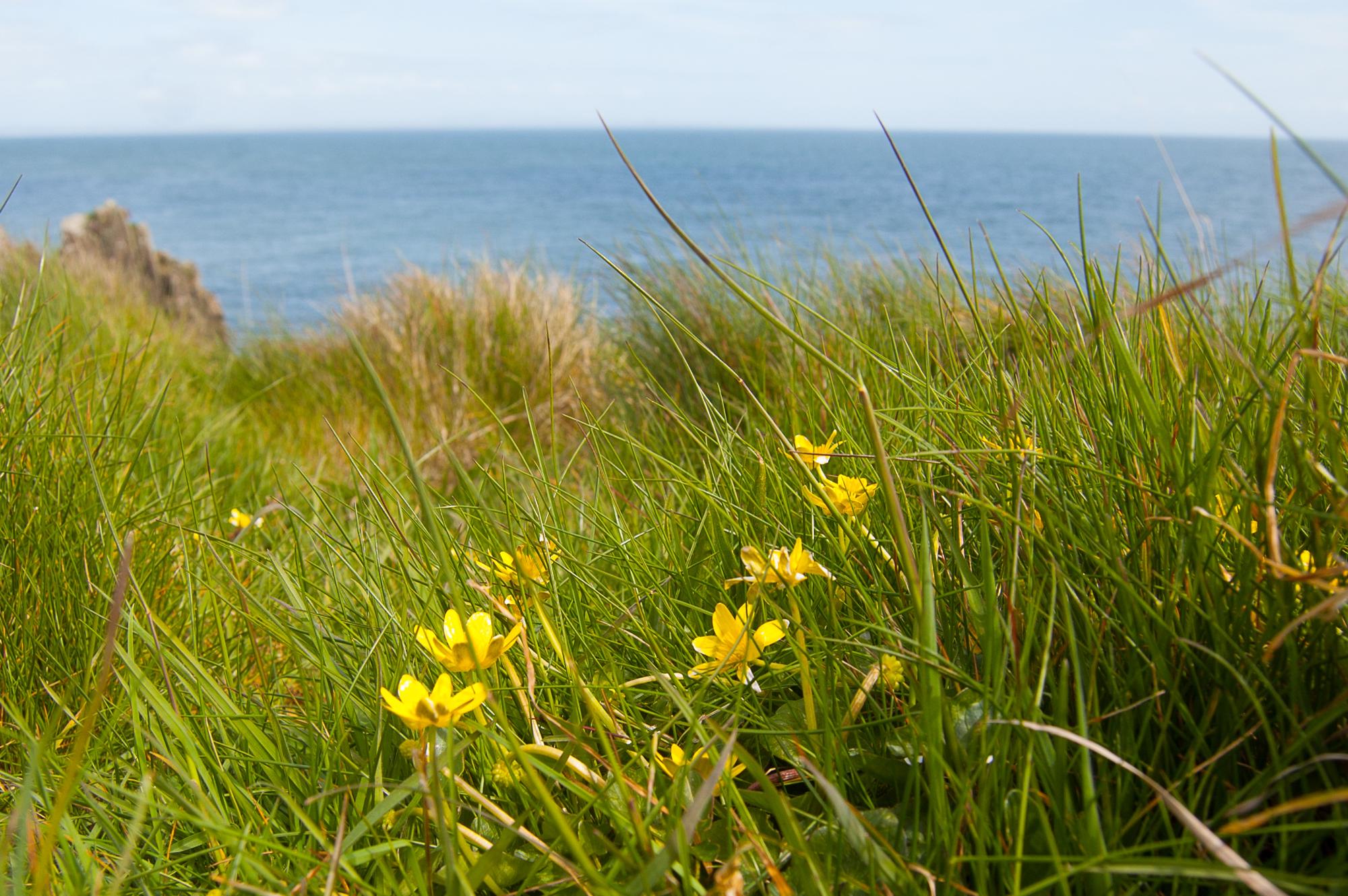 Glamping in Dumfries And Galloway