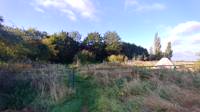 Orchard pitch