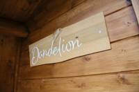Dandelion Pod