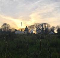 Orchard Bell tent