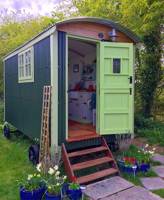 Elderflower Hut
