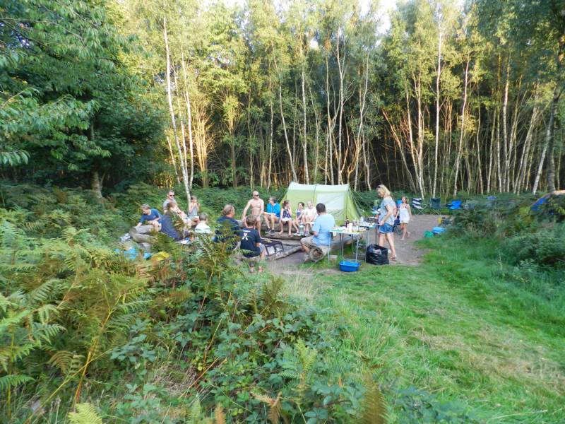 Group Forest Tent Pitch