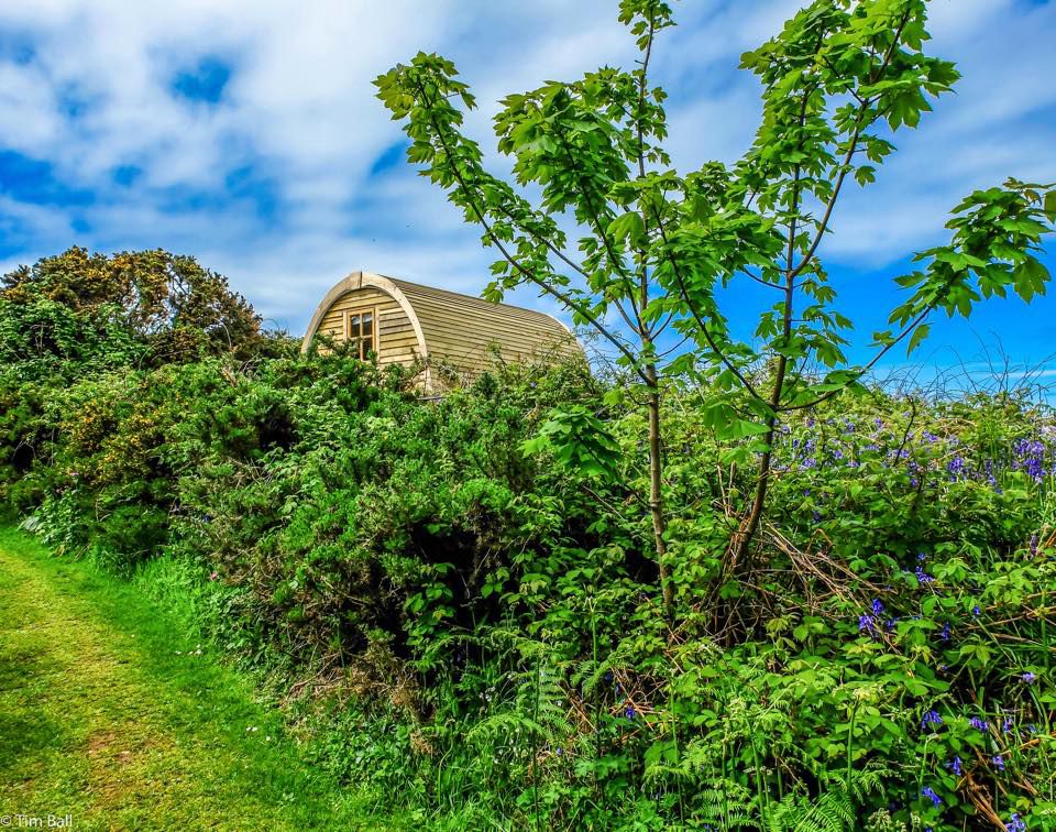 Glamping in Dinas Dinlle – Cool Camping
