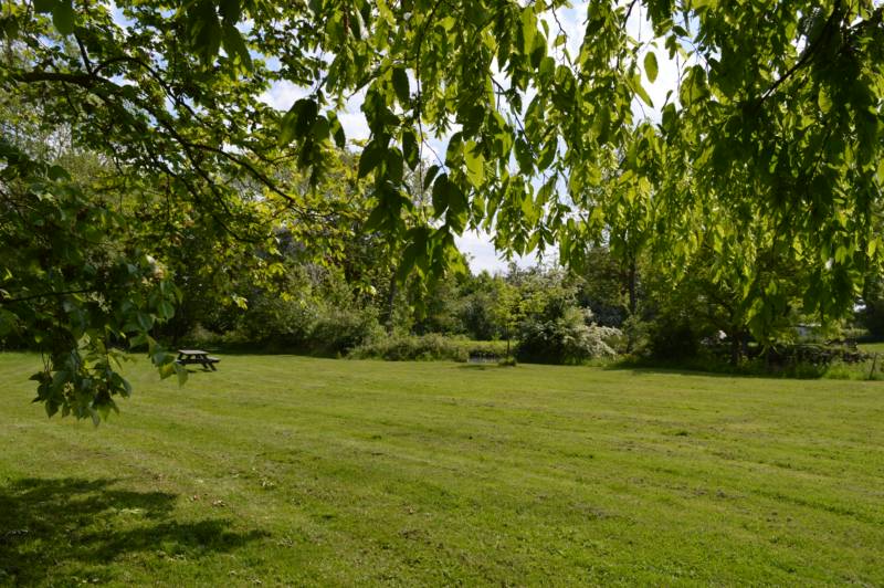 Glade Grass Tent Pitch - Electric Hook Up