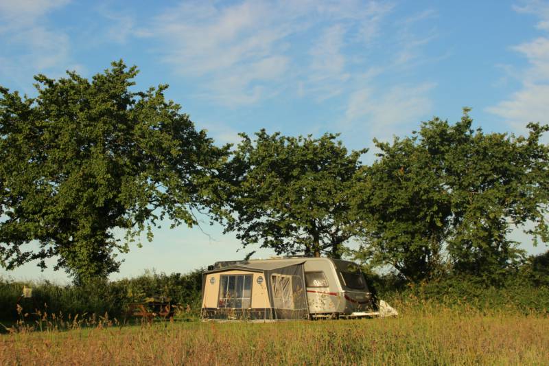 Grass Pitch 3 (optional electric hook-up)