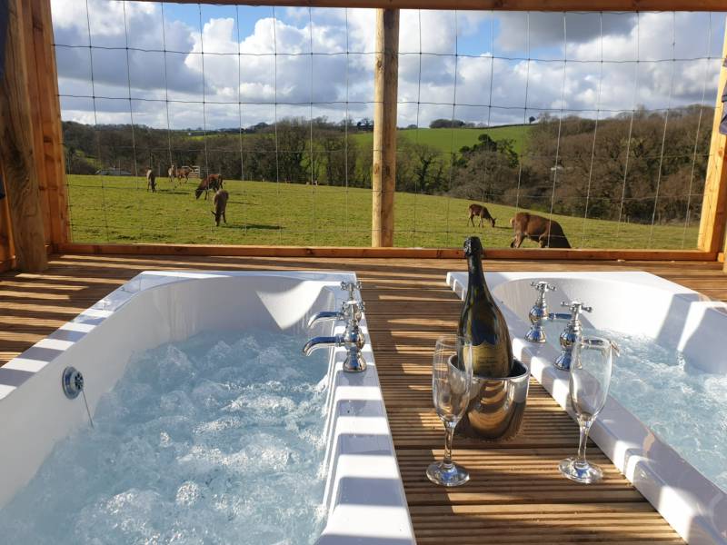 Wootten Deer Park Wootten Deer Park & Safari Lodges, Bow, Crediton, Devon EX17 6LF