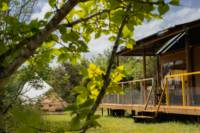 Maasai Mara, Safari Lodge