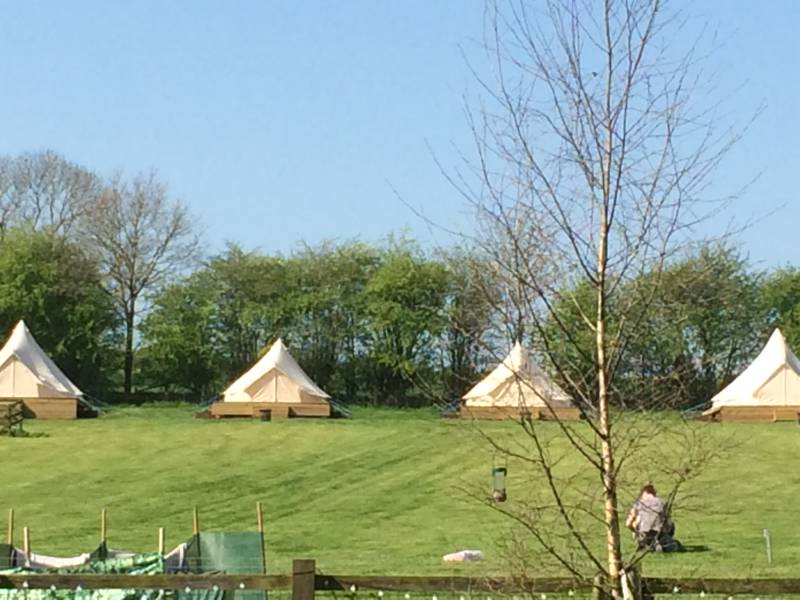 Wild Birds Bell Tent - 4 metres