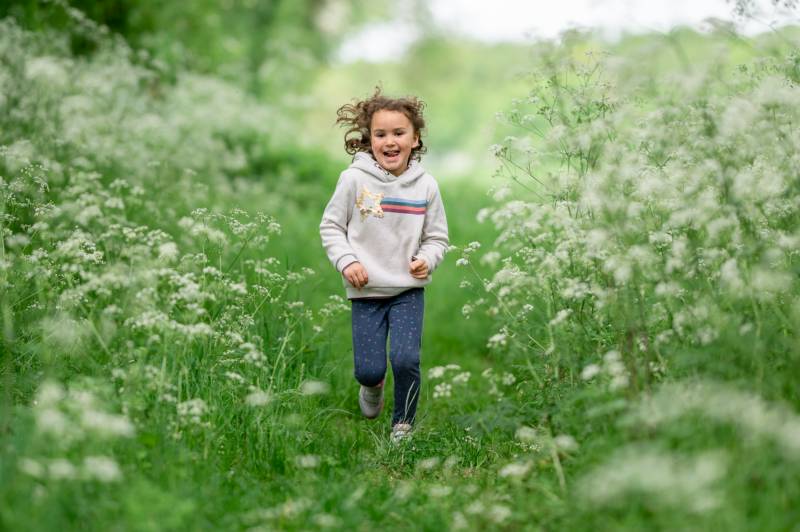 Silverbird Airstream Caravan