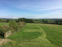 Grass Pitch