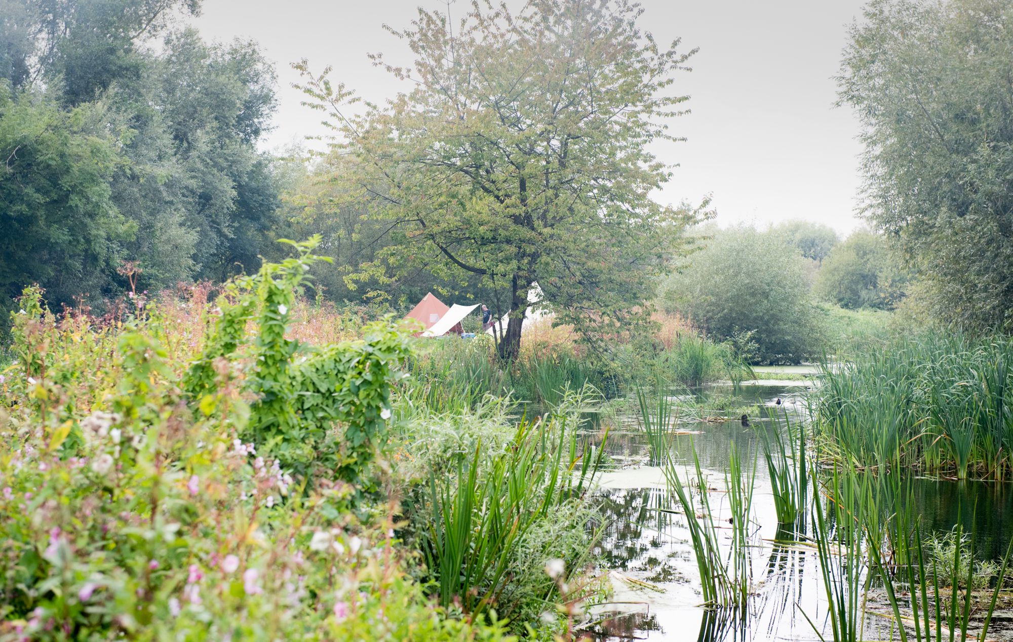 The Best Riverside Campsites in England
