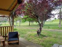 Safari Tent