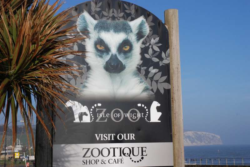 Isle of Wight Zoo