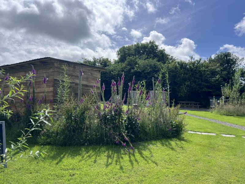 Cowpots Wild Spa Camping