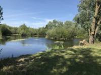 Carpers Cabin