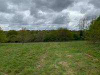 Nick's Field pitch 5