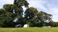 Grass Pitch