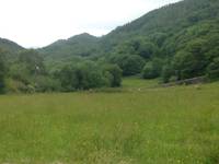 Super Secluded tent pitches