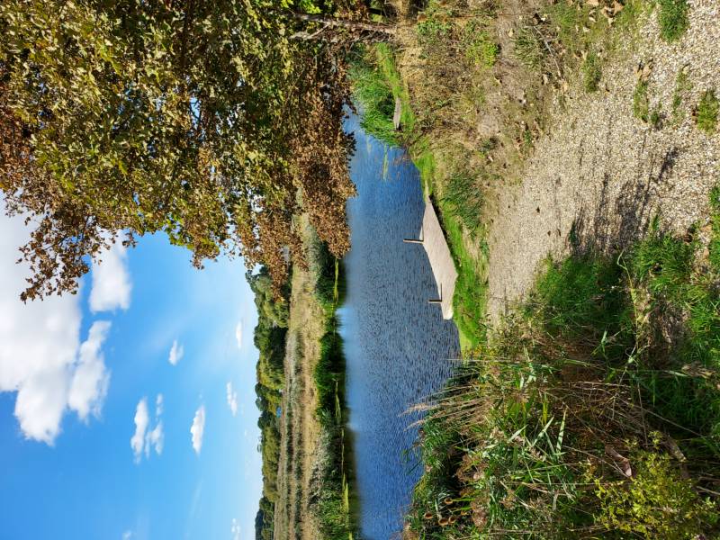 Bell tent - Riverside location