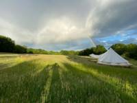 Dandelion Bell Tent