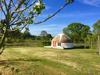 Poplar Yurt
