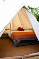Bell Tent - Poppy