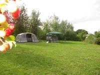 Grass Pitch