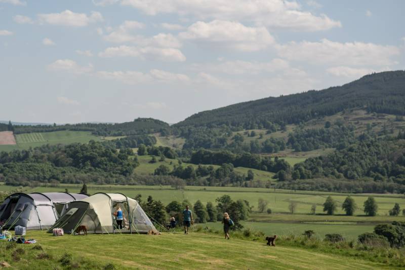 The Drum Grass Tent Pitch