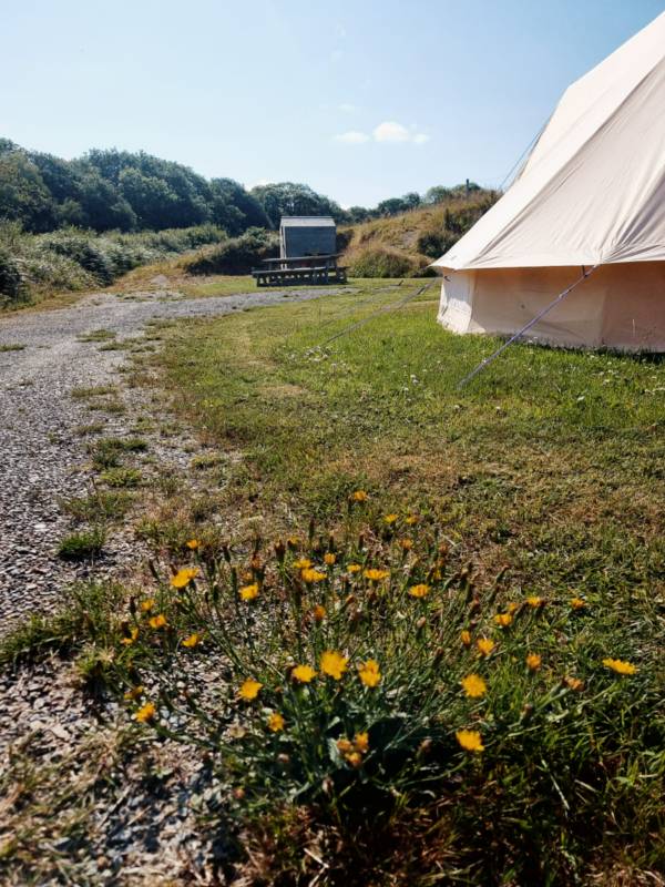 Nugget - Ensuite Campervan or Tent Pitch