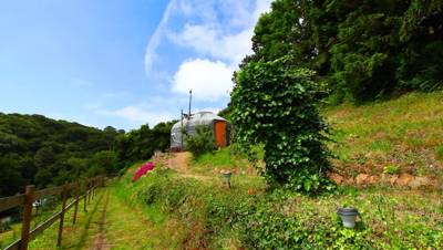 Luxury yurts, spectacular sea views and a hot tub... what more could you want from this charming Jersey glampsite? 