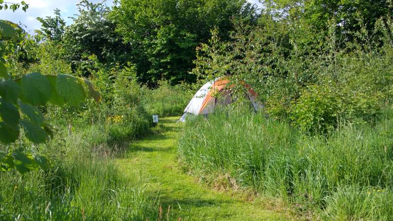 Small grass pitch for tents only - campsite 1
