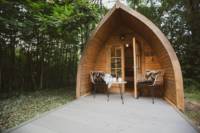 The Burrow