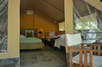 Bamburi, Woodland Safari Tent