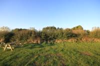 Grass electric pitch A5