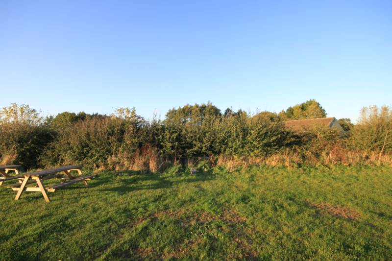 Grass electric pitch A5